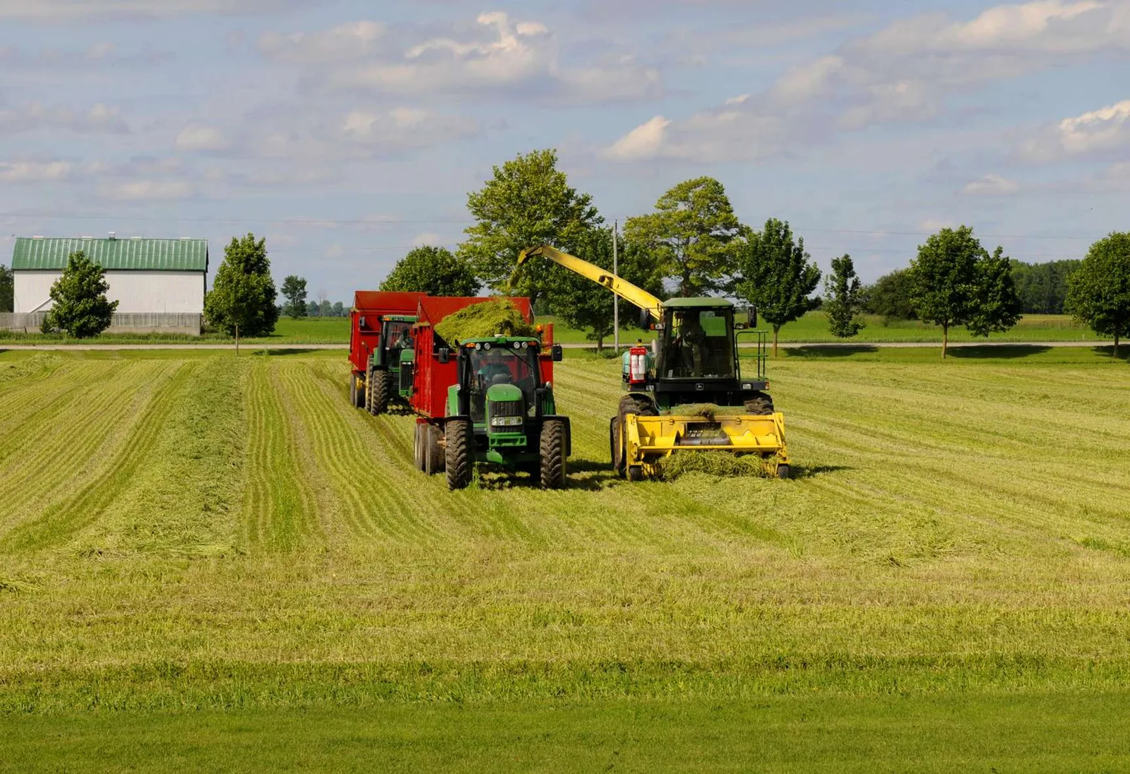 A Perth County farm at harvest, where Numinor provides local bookkeeping for Mitchell-area farms and family businesses.